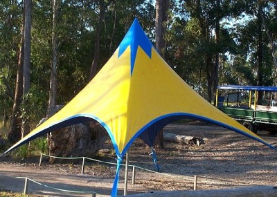 Yellow Canopy