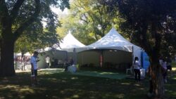 5 x 5 Tent in the Park